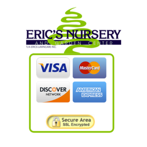 Pay Invoice Online